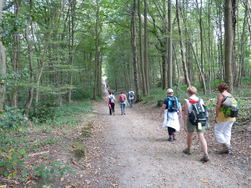 2014-09-14 Château de la Madeleine-0036.JPG